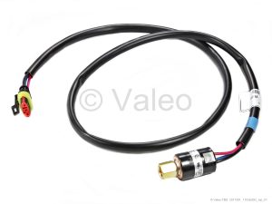 LOW-PRESSURE SWITCH WITH W.D. ST.