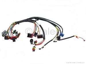 CABLE HARNESS GBW 300 IVECO