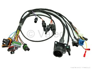 CABLE HARNESS GBW 300 SOLARIS