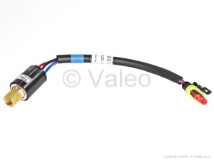 LOW-PRESSURE SWITCH WITH W.D. ST. 200 MM