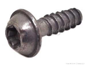 SCREW DELTA PT 40X12 DS WN 5452