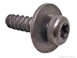 SCREW DELTA PT 60X20 D18-DS - ZNNI8AT2