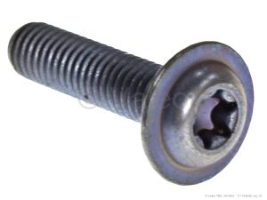 SCREW M6X25 TORX T30