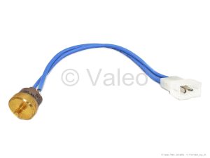 TEMPERATURE SWITCH