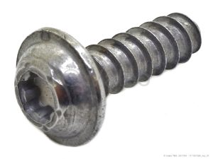 SCREW DELTA PT 50X16