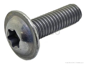 SCREW M6X20 TORX T30