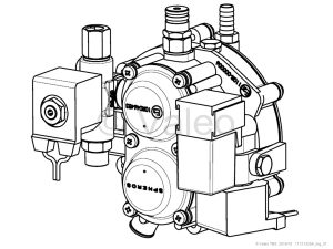 GAS REGULATOR 220 BAR, 2-POLE TYCO