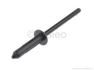RIVET