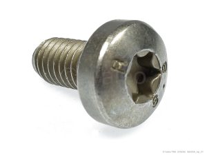 OVAL HEAD SCREW M6X12 TORX 30