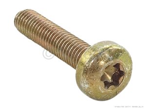 OVAL HEAD SCREW M6X30 TORX 30