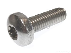 OVAL HEAD SCREW M6X16 TORX 30